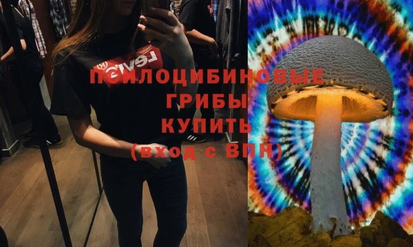 a pvp Мегион