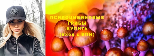 a pvp Мегион