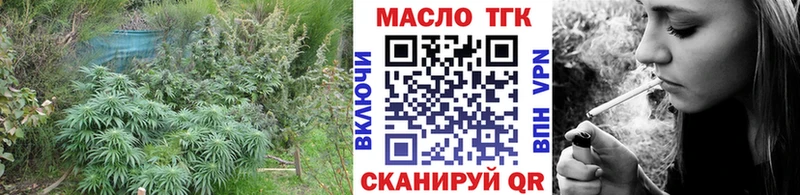 ТГК Wax  блэк спрут ссылки  Вышний Волочёк 